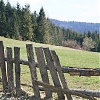 Widoczek